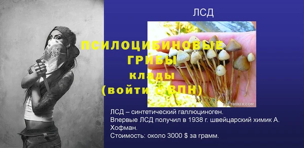 a pvp Аркадак